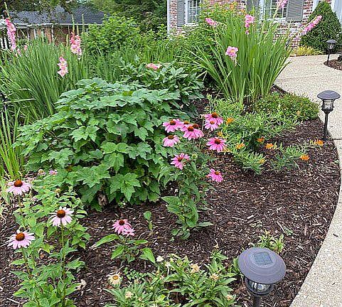 front perennial bed