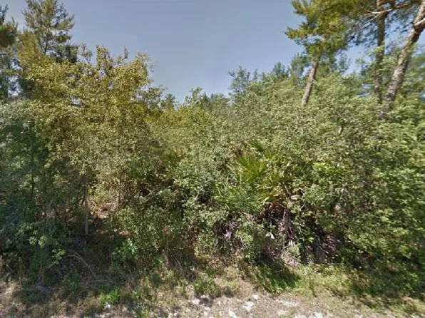 Bay Terrace Way Lot 15, Ocklawaha, FL 32179
