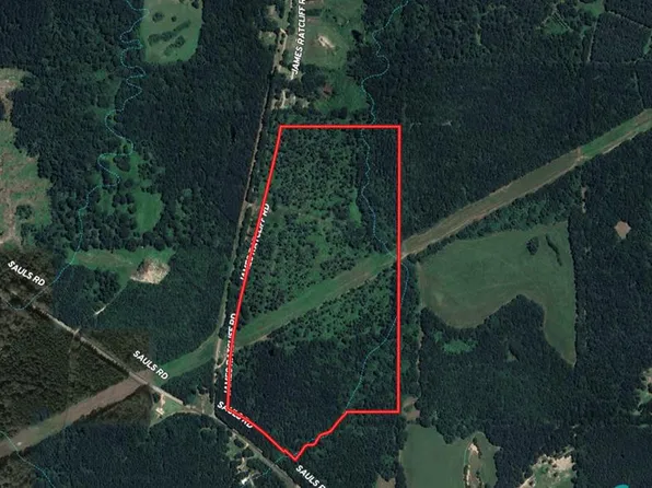 0 James Ratcliff Rd, Jayess, MS 39641