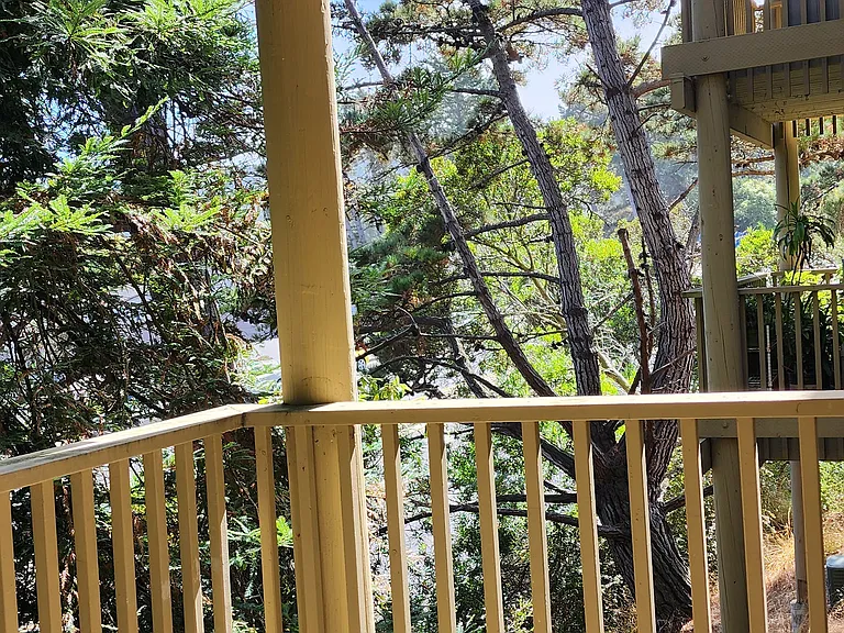 Mandarin Dr — Photo 11