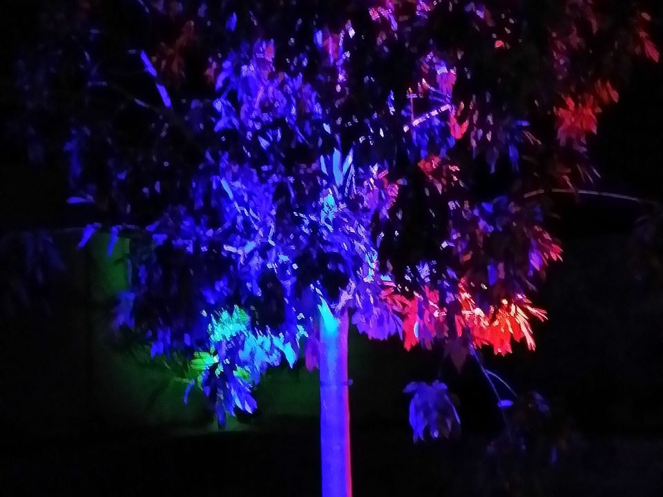 1st image of 6655 Alder Flower Ct