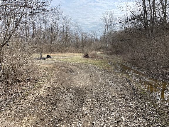 4th image of 4600 State Route 296 Lot Wp001