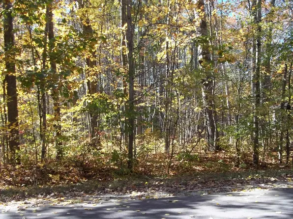 0 Butterfield Ln, Houghton Lake, MI 48629