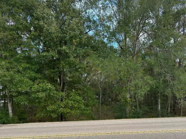 8527 Highway 67, Slaughter, LA 70777