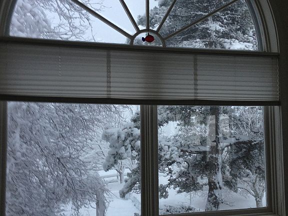 from dining room in winter