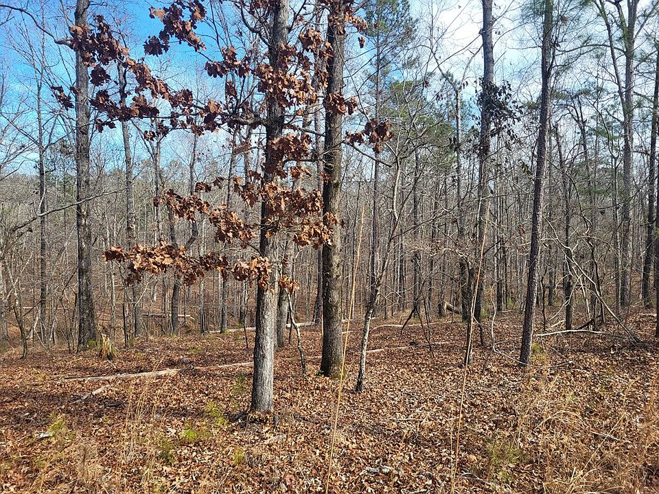 2nd image of 141 Amaryllis Dr