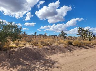 27445 N Apple Drive #196, Meadview, AZ 86444