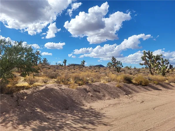 27445 N Apple Drive #196, Meadview, AZ 86444