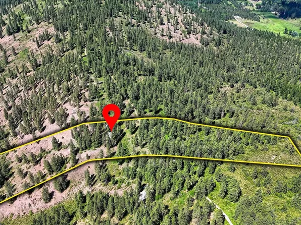 2847 Wrights Valley Rd, Chewelah, WA 99109