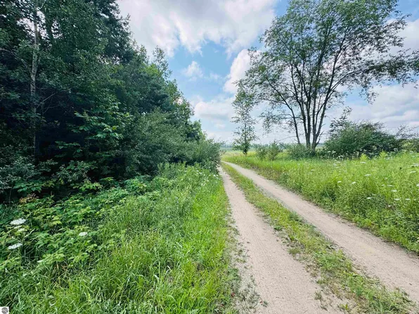 PARCEL B6/b7 Bosscher Rd, Manton, MI 49663