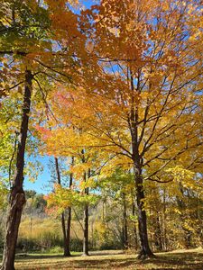 Fish Trap Lake Dr, Cushing, MN, 56443