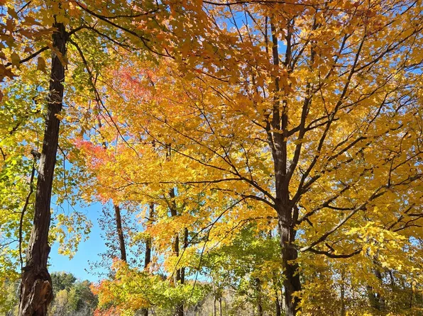 Fish Trap Lake Dr, Cushing, MN 56443