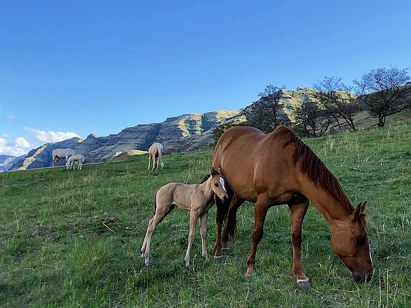 5th image of 73720 Indian Creek Rd