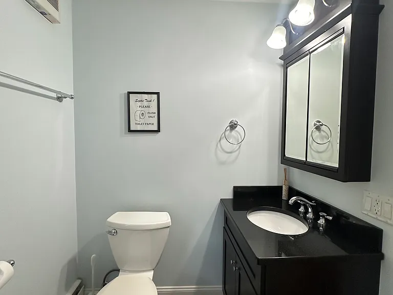Full bathroom _ clean, updated finishes