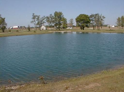 18' Deep Fully stocked Pond with Beach