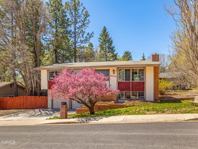 4177 N Fanning Dr, Flagstaff, AZ, 86004