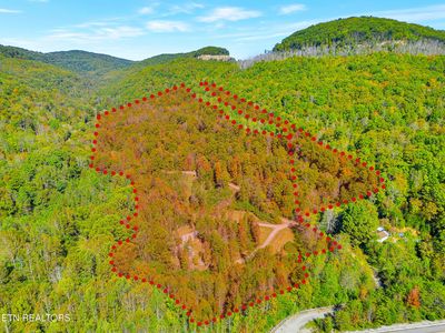 63 Baker Ln, Pioneer, TN, 37847