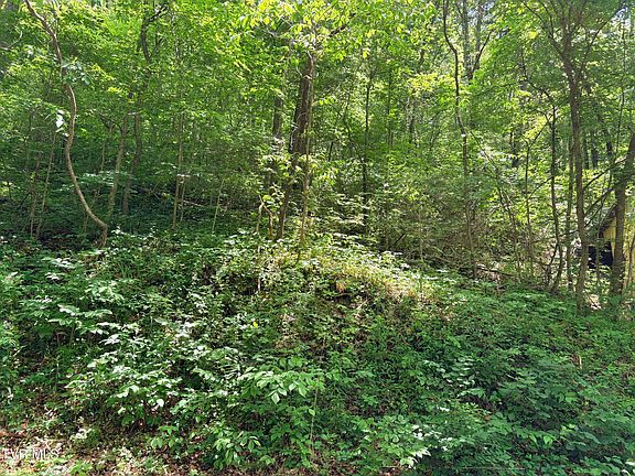 4th image of 0 Shackleford Rd