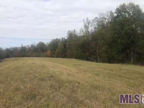 1093 Poydras Bayou Dr, Pt Allen, LA 70767