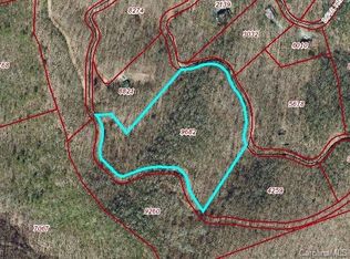 99999 Pinebark Rdg, Candler, NC 28715