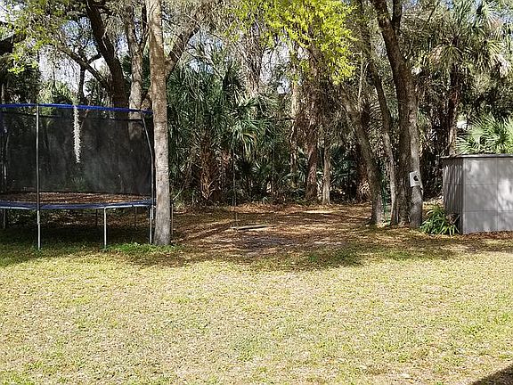 Back yard