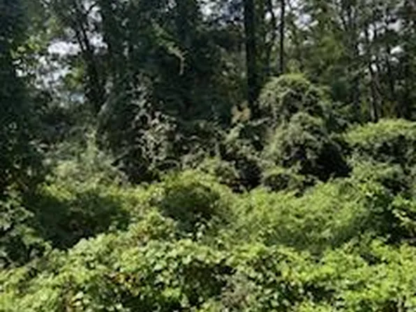 222 Ensign Dr, Hemphill, TX 75948