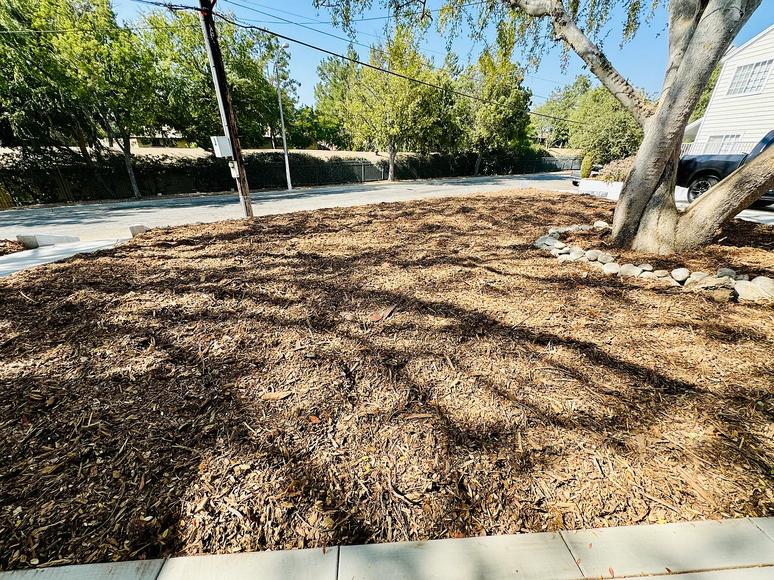 1 bed, $2,300 — Photo 4