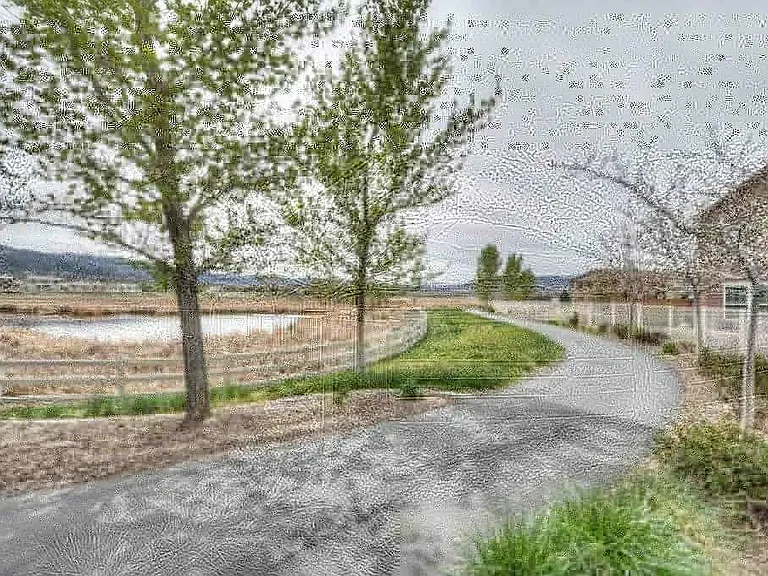 Walking Paths
