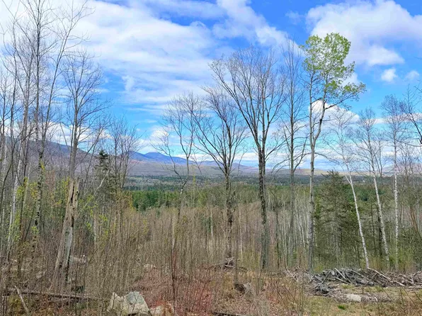 00 Route 3 North #43 & 46, Carroll, NH 03595