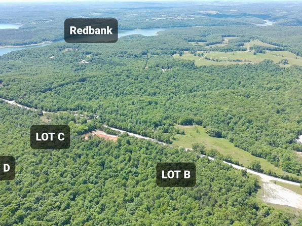 TRACT C & D Hwy #101, Gamaliel, AR 72537