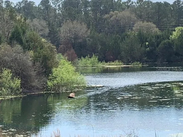 Deep Water Park Lot 2, Williston, FL 32696