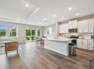 10437 Farm Hill Ave, Land O Lakes, FL 34638