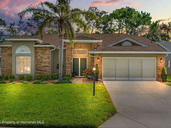 6489 Rolling Green Dr, Spring Hill, FL 34606