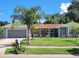 4107 Arajo Ct, Belle Isle, FL 32812