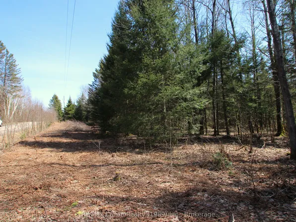 0 Barrett Rd, Nipissing, ON P0H 1Z0