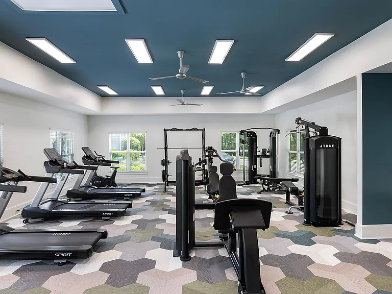 The Apartments at Shade Tree