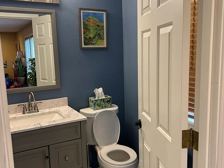 Downstairs bathroom