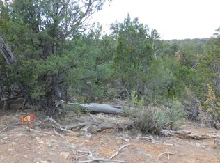 3630 Bobcat Trl, Heber, AZ --