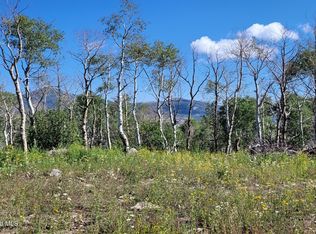 235 Tanger Ln, Craig, CO 81625