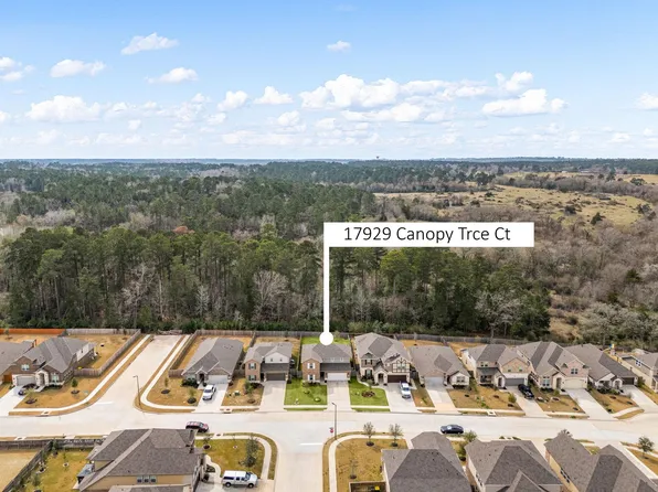 17929 Canopy Trace Ct, Montgomery, TX 77316