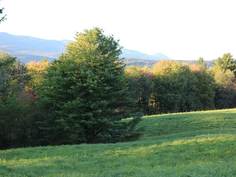 Another view of field in front of house.