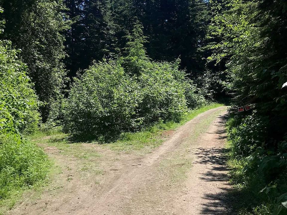 2nd image of LT Eight Snowblaze Rec Tract