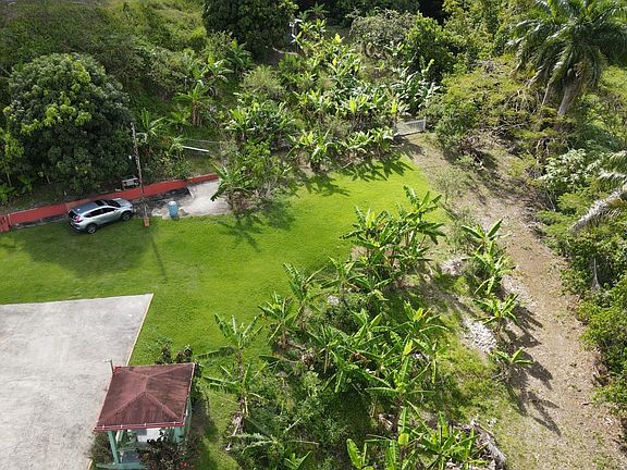 5th image of 924 Bo Collores