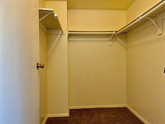 4th image of 1835 Needham Ave APT 2E