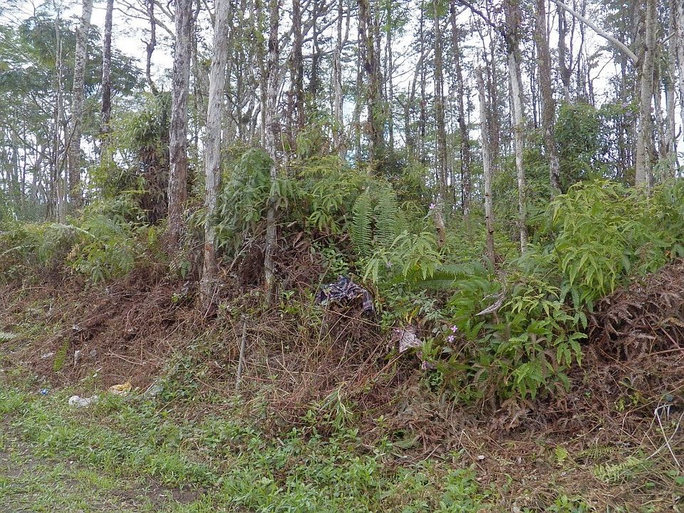 2nd image of Lanai Rd Lot 371