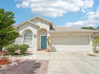 10232 Oasis Palm Dr, Tampa, FL, 33615