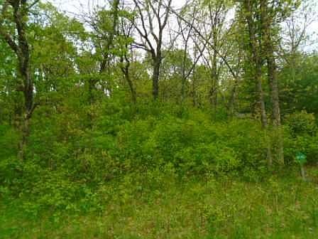 2nd image of 9.26 Ac Hwy #58-N