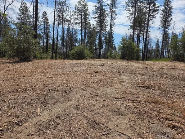 1090 Bald Rock Rd, Berry Creek, CA 95916