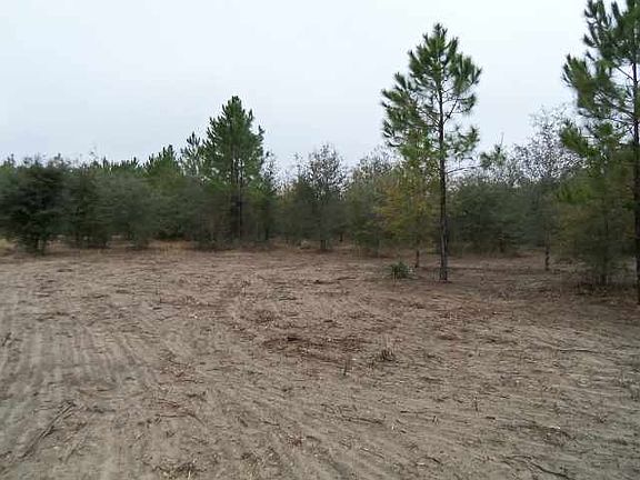 4th image of Vacant Ne Delphinium Dr #0