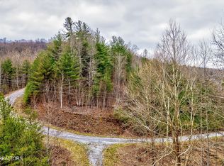 LOT 41 Black Maple Way, Del Rio, TN 37727